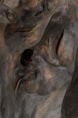 Obraz premium Beautiful texture of old carved stained oak.