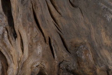 Beautiful texture of old carved stained oak.