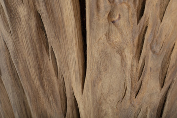 Beautiful texture of old carved stained oak.