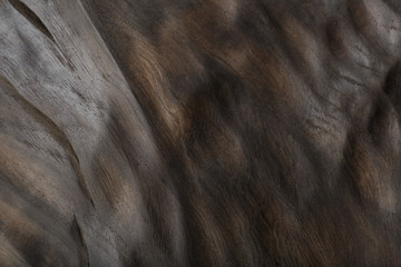 Beautiful texture of old carved stained oak.