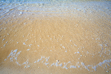 beautiful sandy beach and soft blue ocean wave