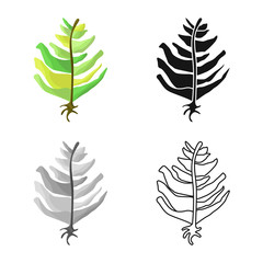 Vector illustration of seaweed and green icon. Collection of seaweed and algae vector icon for stock.