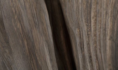 Naklejka premium Beautiful texture of old carved stained oak.