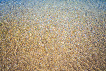 beautiful sandy beach and soft blue ocean wave