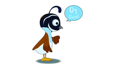 quail cartoon with Q alphabet