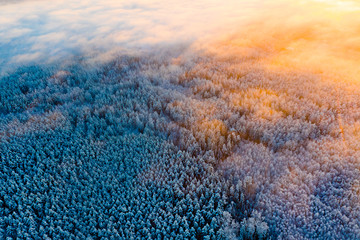 Cloud patches fly above snowy forest in countryside, aerial landscape. Winter concept. New day begins