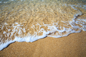 beautiful sandy beach and soft blue ocean wave