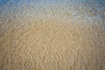 beautiful sandy beach and soft blue ocean wave