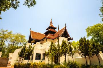 thailand temple They are public domain or treasure of Buddhism