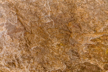 Textured stone sandstone surface. Close up image