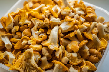 Сhanterelles. Mushrooms. Vegetarian food. Close up