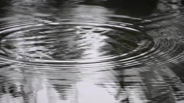 Two small raindrops landing on the water