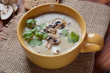 A bowl of Mushroom Cream Soup with fried champignons and fresh parsley. Winter, autumn hot soup concept 
