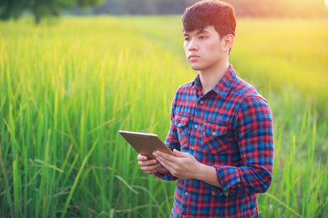 Farmers in fields of beautiful rice with laptops, farmers with technology, growing crops using technology