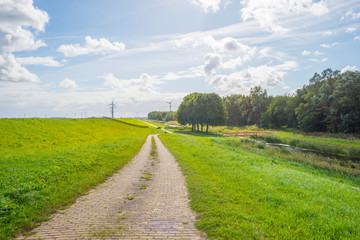 Green dike in a rural area below a blue cloudy sky in sunlight at fall 