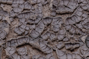 The earth is cracked due to a drought. Pieces of land divided by cracks. Textured abstract background for wallpaper.