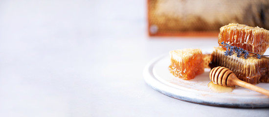 Fresh honeycombs pieces, dry lavender flowers on grey background with copy space. Autumn harvest concept. Banner