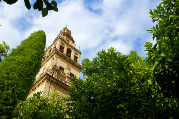 Cordoba Mosque Tower