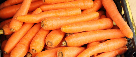 frische Mören auf dem Wochenmarkt