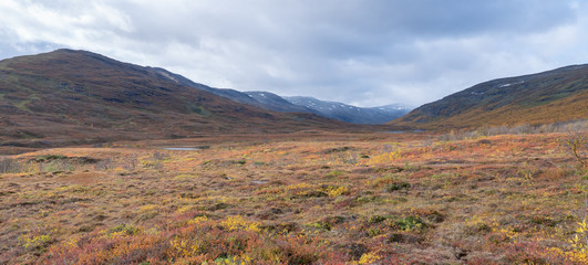 Mountain landscape in autumn. Abisko national park in Sweden.