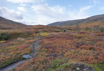 Mountain landscape in autumn. Abisko national park in Sweden.