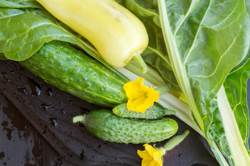 fresh green vegetables. salad ingredients on dark background.