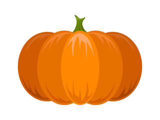 Pumpkin vegetable. Colorful design element isolated on white.