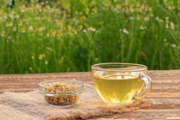Glass cup of green tea and dry white chamomile flowers in a glass bowl outdoor.