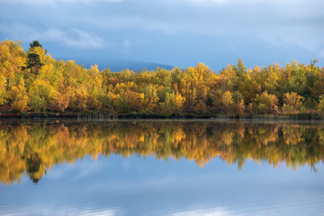 Lake in autumn. Abisko national park in north of Sweden.