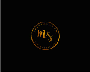 MS Initial letter logo template vector