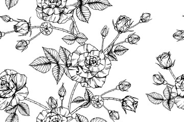 Roses flower and leaves pattern seamless background illustration.