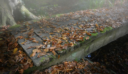 Holzbrücke im Herbst mit Laub und Nebel