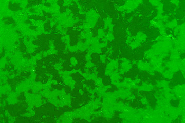 grunge paint green of stucco texture