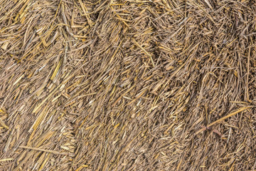 background of dry straw
