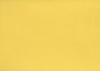 和紙・バックグラウンド