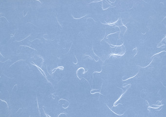 和紙・バックグラウンド