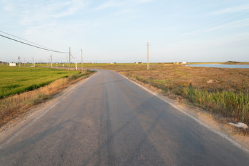 Fototapeta na wymiar carretera solitaria en el Delta del ebro
