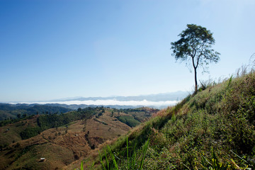 landscape nature - travel in thailand