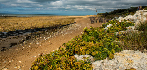 pieux anti-érosion ligne de cçote 