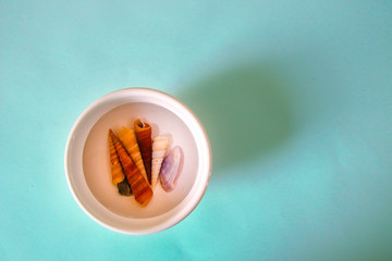 Minimalist conceptual still life photo depicting concept of plastic pollution, ocean pollution, climate change and environmental awareness