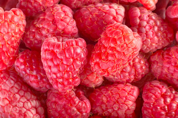 Fresh and sweet raspberries background - two big berry on berry background - fruit background collection