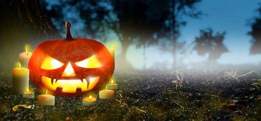 Jack O Lanterns pumpkin Glowing with candles In The Spooky Night forest - Banner. Halloween Scene background. Copyspace for text