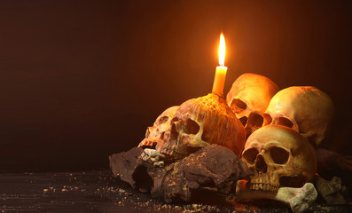 Pile of Skulls and bone on old wood with candle light / Still Life and dark image.