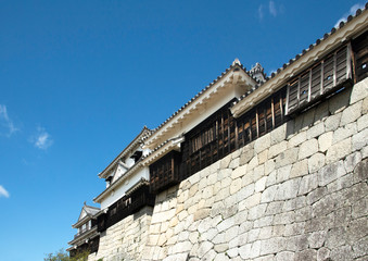 Obraz premium 松山城