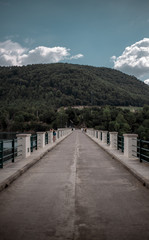 Fototapeta premium puente con montañas y arboles al rededor 