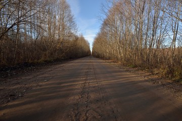 road in the forest