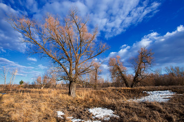 Spring landscape river, forest and clouds on a blue sky