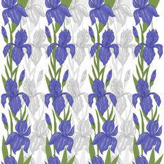 Fototapeta premium Seamless border, endless brush of hand drawn flower iris with leaves vector illustration