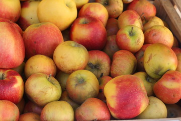 Authentic fresh elstar apples on a food market. 