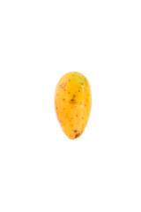 Potato Close up for isolated